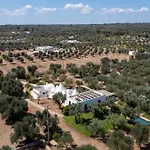 Ninnitrulli אוסטוני