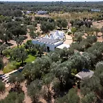 Ninnitrulli וילה אוסטוני